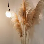 Апартаменты Mediterranean Oasis Old Town Сплит